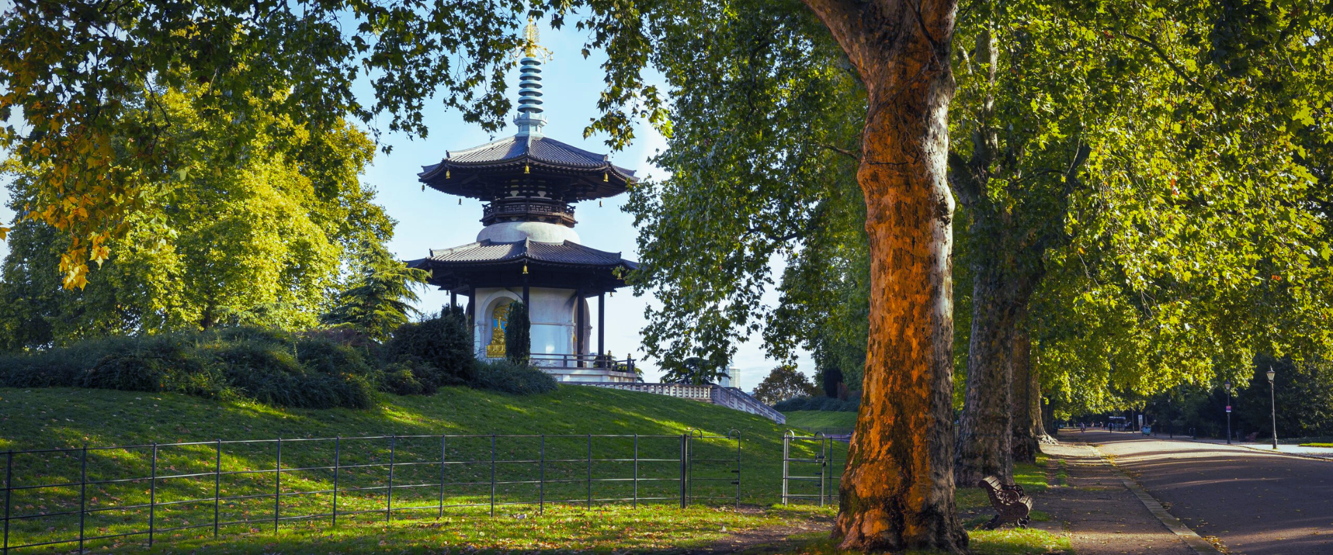 Forbes Nannies | Nanny Agency in Battersea London | Battersea Nannies